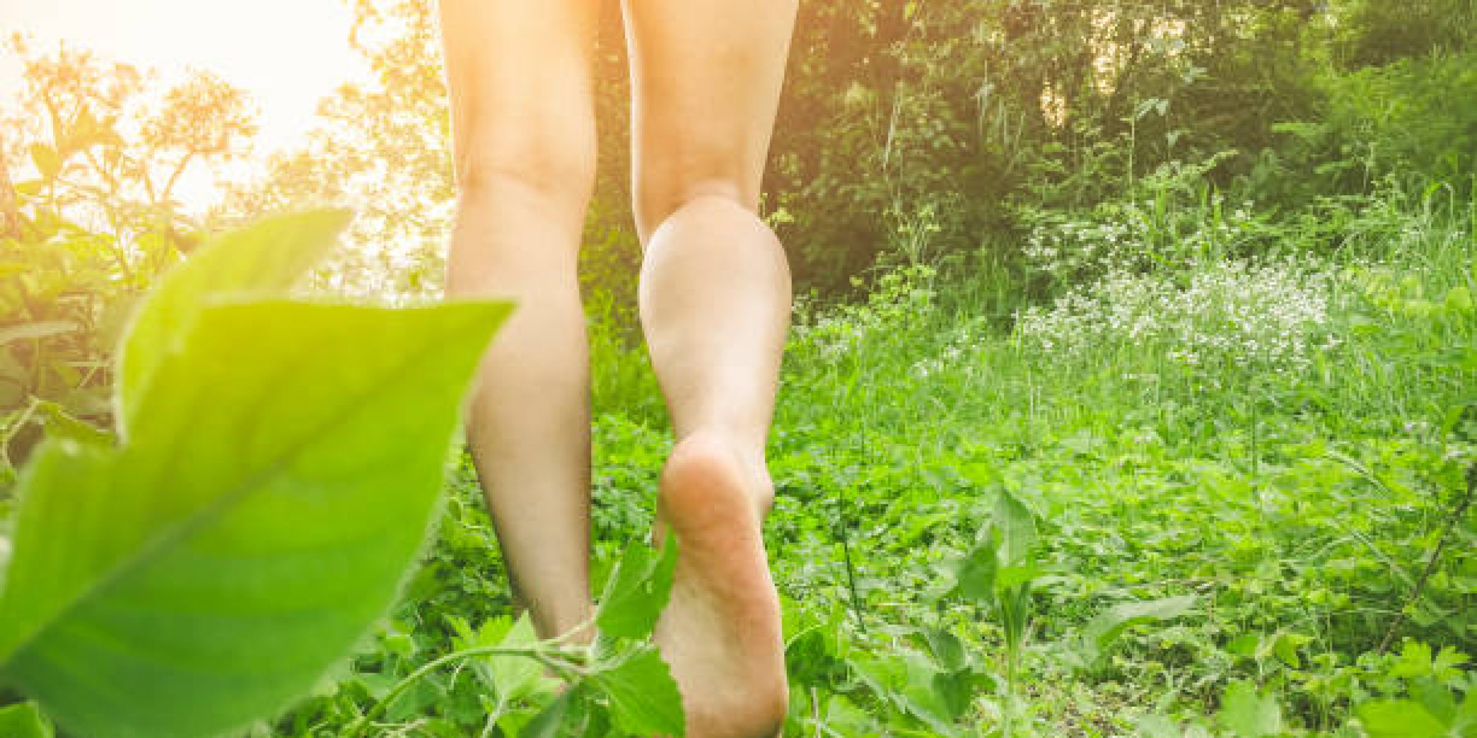 Close-up of young woman's legs. She walks barefoot on grass in meadow at morning in lush green nature.